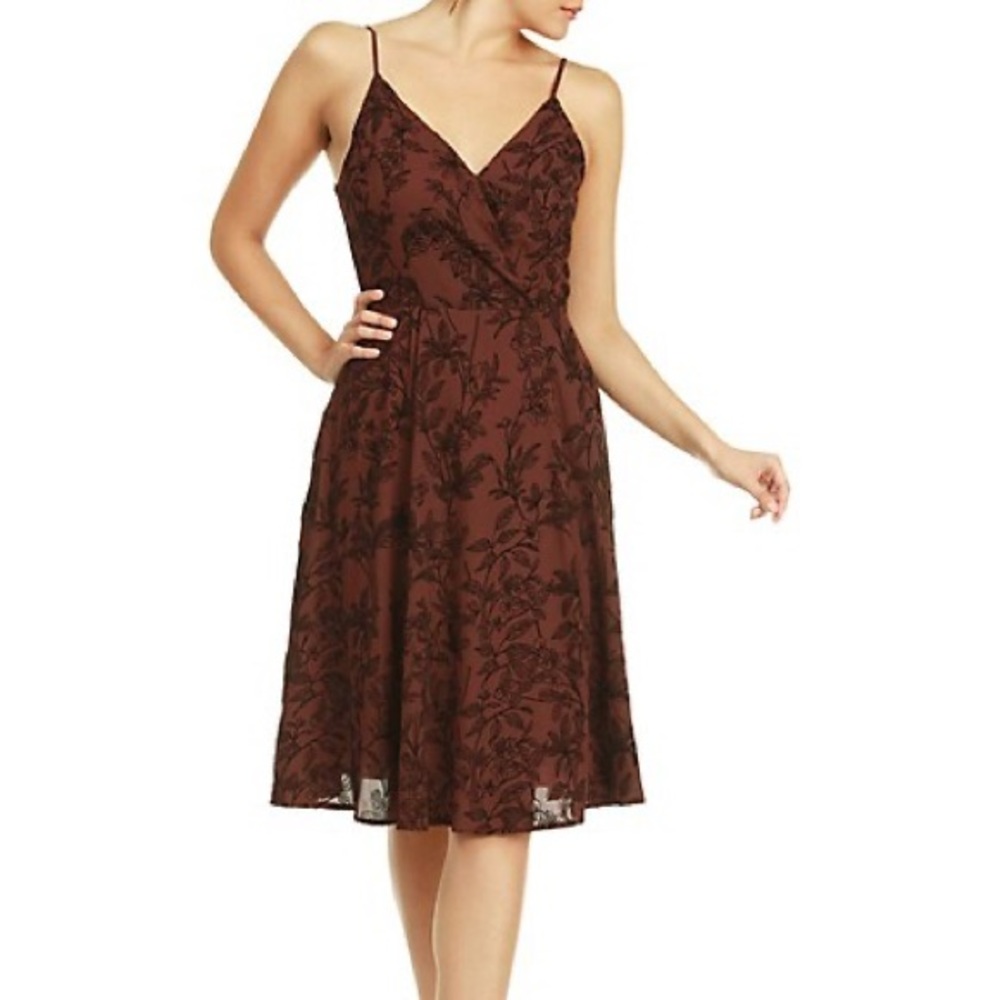 Dex Velvet Print Dress